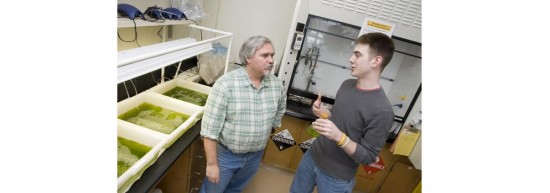 Professor Jeff Lodge and graduate student Eric Lannan explore algae as a biodiesel fuel
